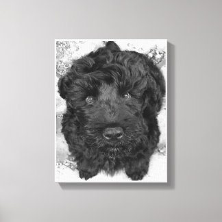 Black Russian Terrier Puppy Leinwanddruck