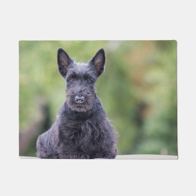 Black Scottish Terrier Fußmatte (Vorderseite)