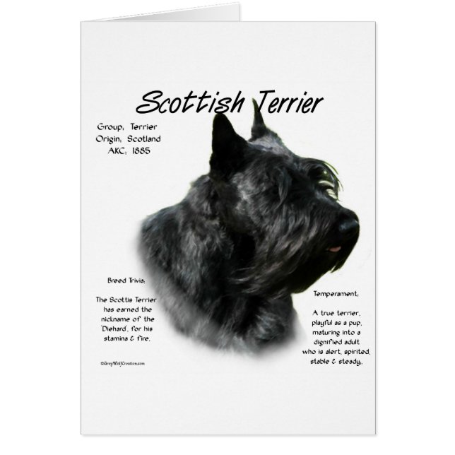 Black Scotty History (Vorne)