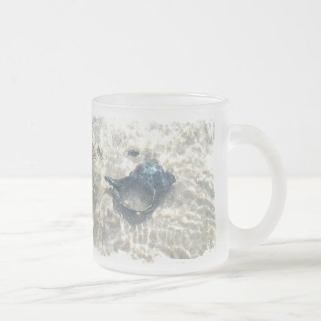 Black Seashell Mattglastasse (Rechts)