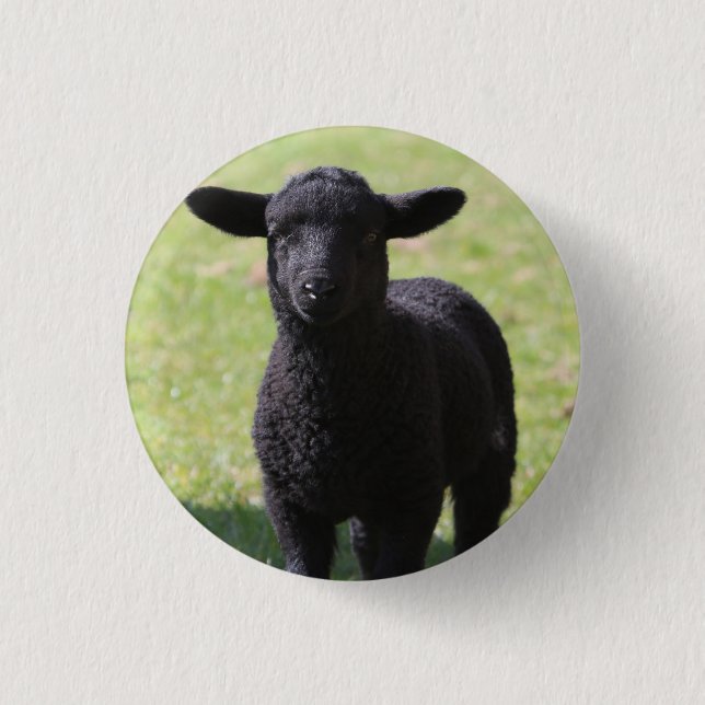Black Sheep - Knopf Button (Vorderseite)