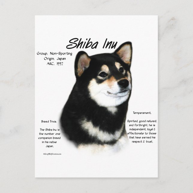 Black Shiba Inu History Postkarte (Vorderseite)