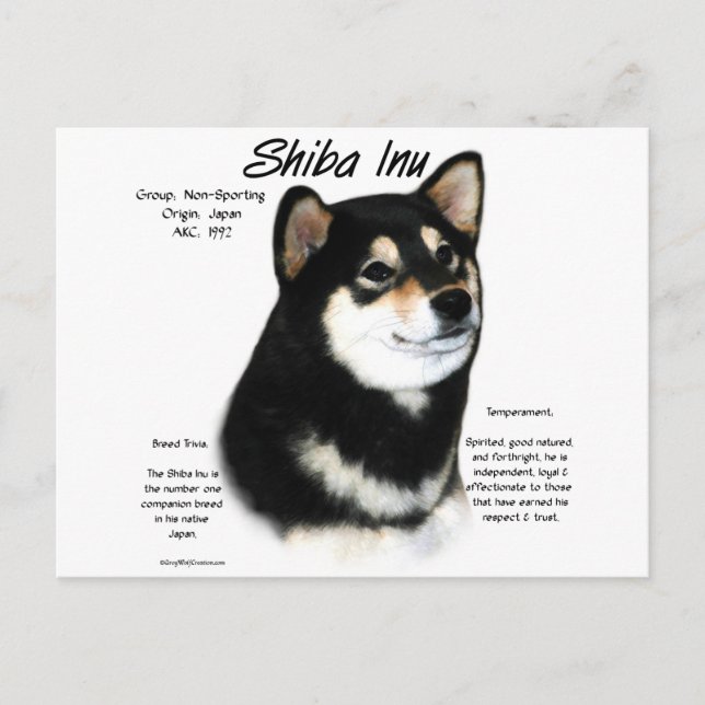 Black Shiba Inu History Postkarte (Vorderseite)