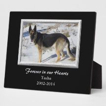 Black Silver Frame PET Memorial Template