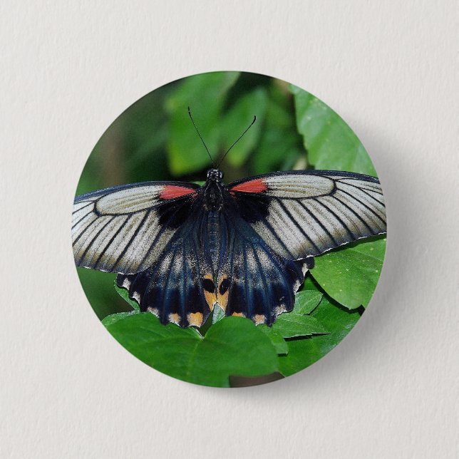 Black Silver Red Butterfly Button (Vorderseite)