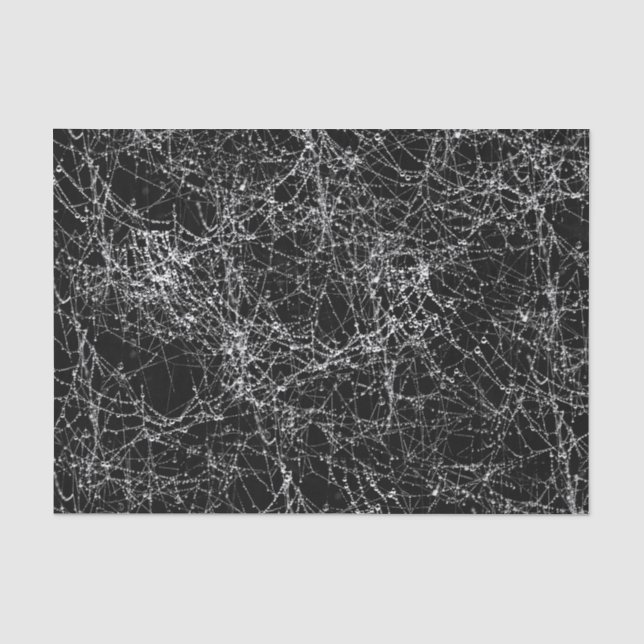 Black & Silvery Spider Webs Chic Halloween-Party Seidenpapier (Vorderseite)