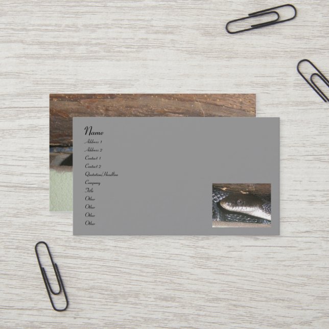 Black Snake Business Cards Visitenkarte (Vorderseite/Rückseite Beispiel)