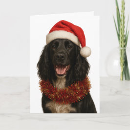 Black Sprocker / Springer Spaniel Christmas card Karte