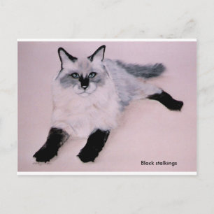 Black Stalkings ... Postkarte