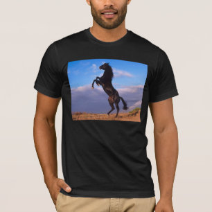 Black-Stallion-T - Shirt