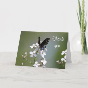 Black swallowtail butterfly dankeskarte