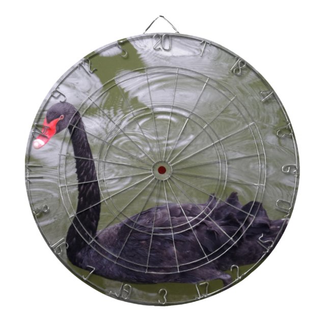 Black Swan Dartboard Dartscheibe (vorne)