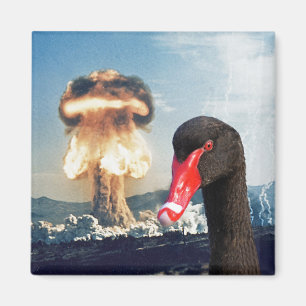Black Swan Desaster Magnet