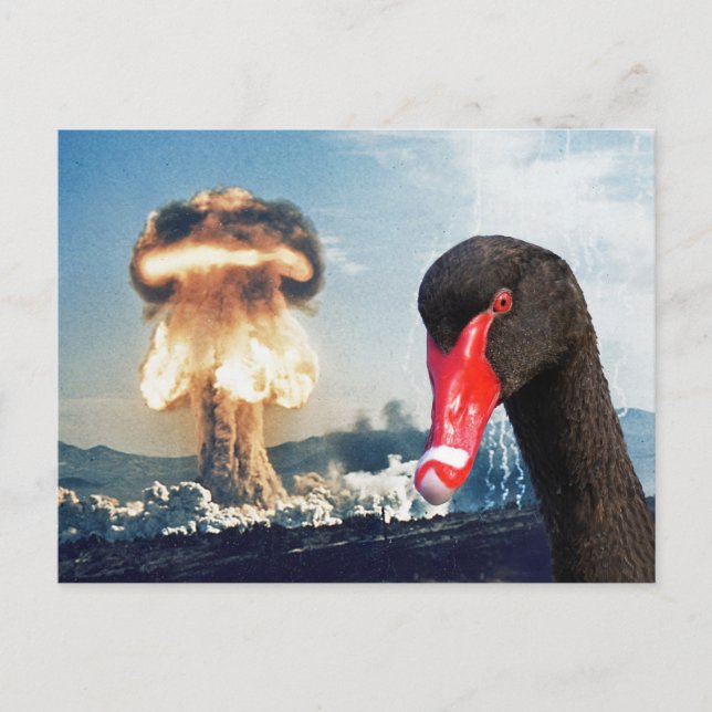 Black Swan Desaster Postkarte (Vorderseite)