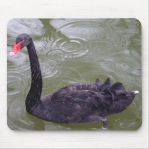 Black Swan Mousepad
