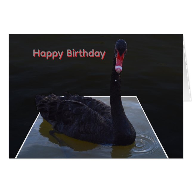 Black Swan Swimming In Dimensional Pond, (Vorderseite (Horizontal))