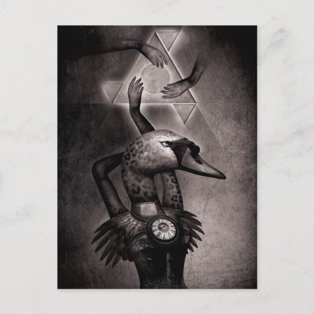 Black Swan Theory Postkarte (Vorderseite)