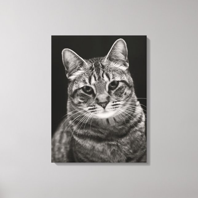 Black Tabby Kitten Leinwanddruck (Vorderseite)