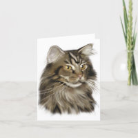 Black Tabby Maine Coon Cat