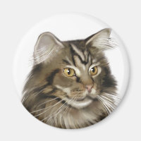 Black Tabby Maine Coon Cat