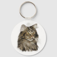 Black Tabby Maine Coon Cat