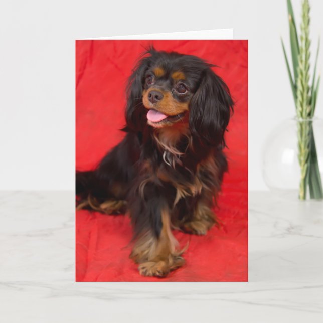 Black Tan Cavalier King Charles Pup Grußkarte Karte (Vorderseite)