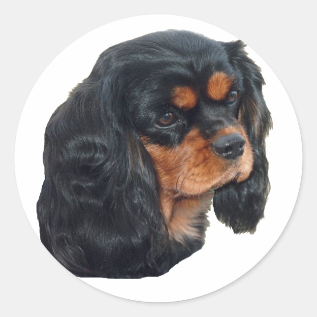 Black & Tan Runder Aufkleber (Vorderseite)