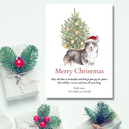 Black Tan White Corgi und Weihnachtsbaum Haustier  Feiertagskarte