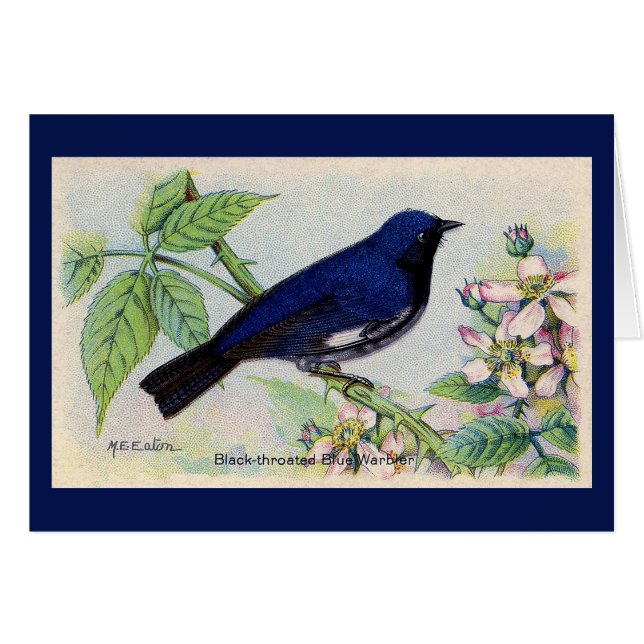 Black Throated Blue Warbler Bird Danke Karte (Vorderseite (Horizontal))