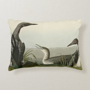 Black-Throated Diver Loon Audubon Birds of America Dekokissen