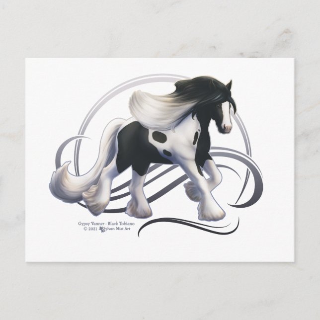 Black Tobiano Sinti und Roma Vanner Horse Postkarte (Vorderseite)