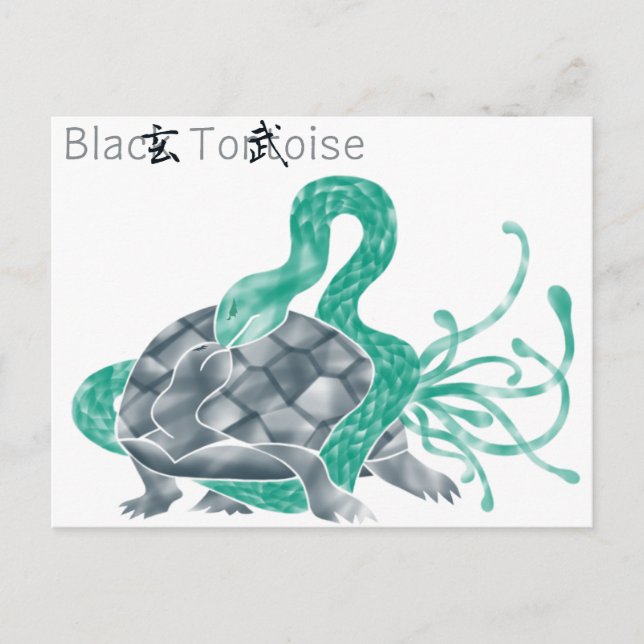 Black Tortoise Postkarte (Vorderseite)