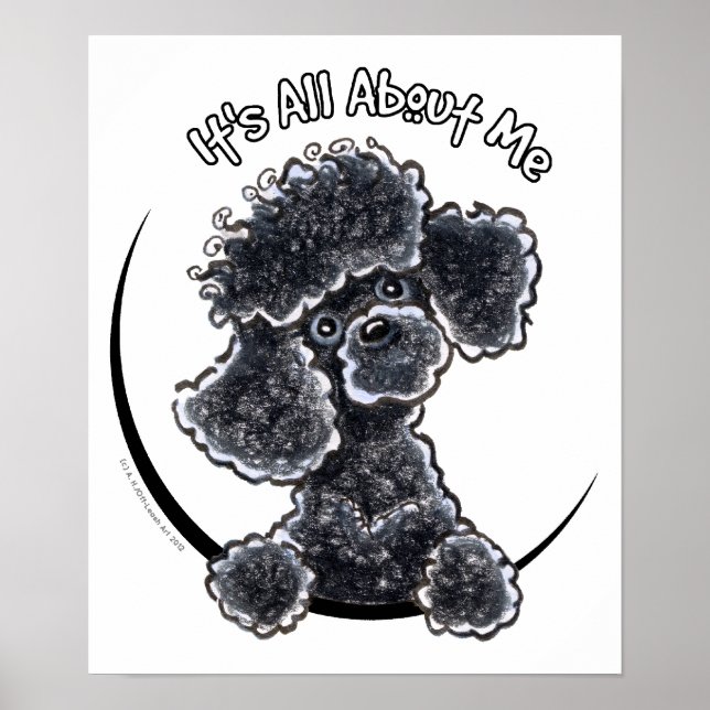 Black Toy Poodle IAAM Poster (Vorne)