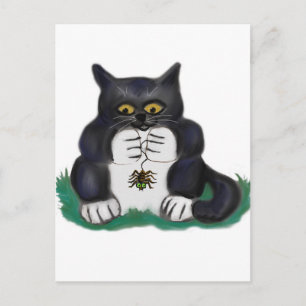 Black Tuxedo Kitten Findt Garden Spider Postkarte