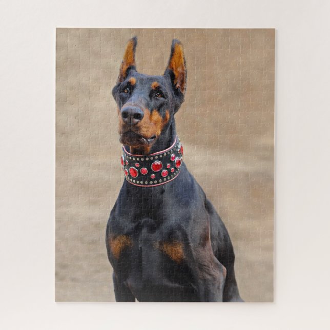 Black und Tan Doberman Pinscher (Vertikal)