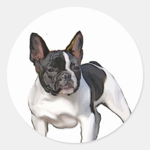 BLACK UND WEISS FRANZÖSISCHER BULLDOG RUNDER AUFKLEBER