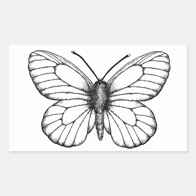 Black-veined white butterfly rechteckiger aufkleber (Vorderseite)