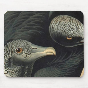 Black Vultures, John James Audubon Mousepad