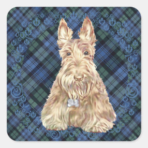 Black Watch Tartan Quadratischer Aufkleber