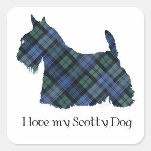 Black Watch Tartan Schottischer Terrier Quadratischer Aufkleber