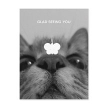 Black&White 17yro Kitty Blank Postcard