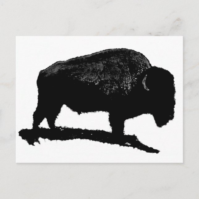 Black & White Buffalo Postkarte (Vorderseite)