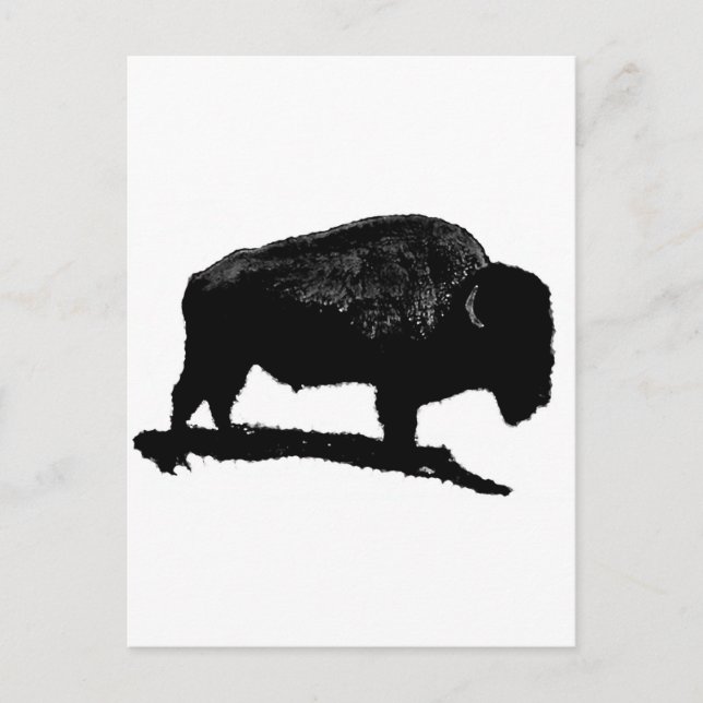Black & White Buffalo Postkarte (Vorderseite)