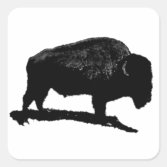 Black & White Buffalo Quadratischer Aufkleber (Vorderseite)
