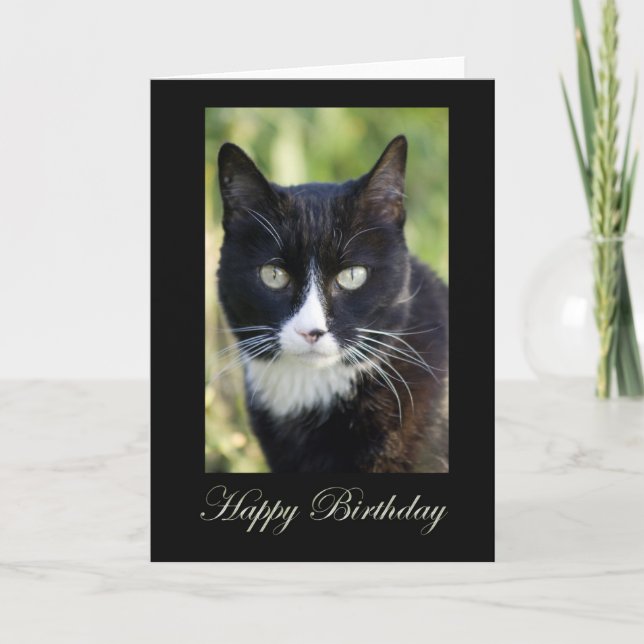Black & White Cat, blank birthday card Karte (Vorderseite)