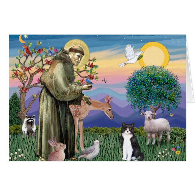 Black & White Cat - Saint Francis (Vorderseite (Horizontal))