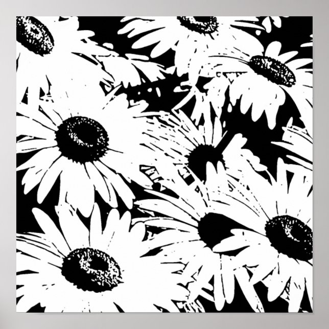 Black&White Daisies Poster (Vorne)