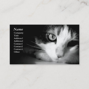 Black&white de chat - cartes de visite