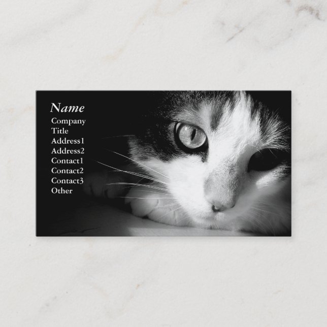 Black&white de chat - cartes de visite (Devant)