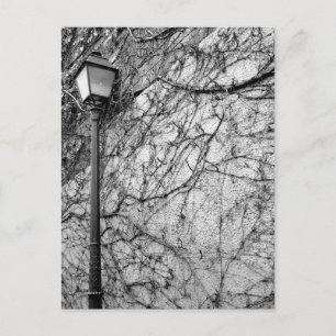 Black & White Foto von Paris Street Lamp Postkarte